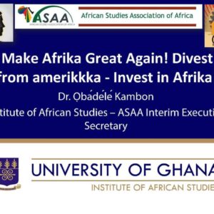 Make Afrika Great Again! Divest from amerikkka - Invest in Afrika!