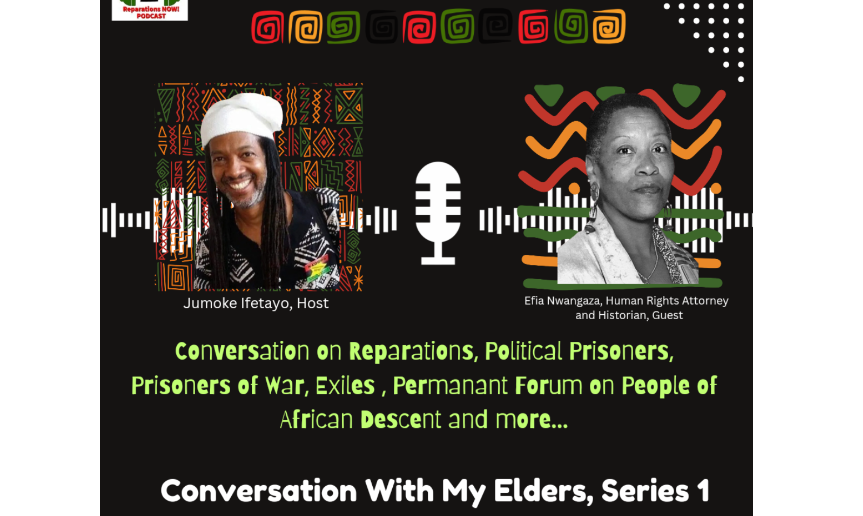 Reparations NOW!, with Bro. Jumoke Ifetayo 6-30-24 guest; Efia Nwangaza